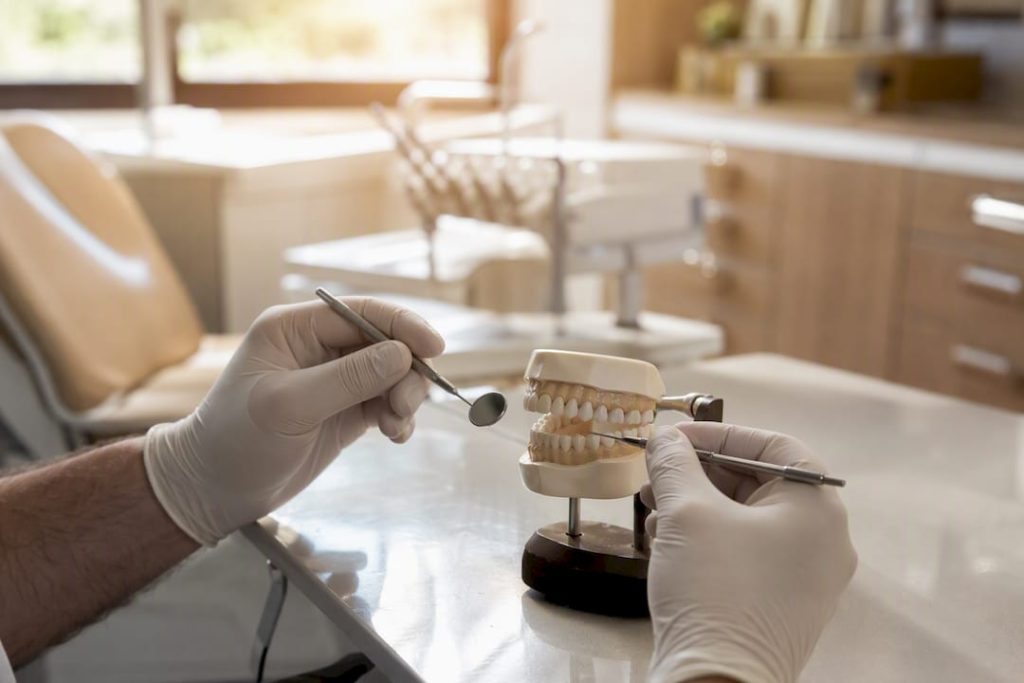 Medic stomatolog analizând un model dentar pentru a depista eventuale carii